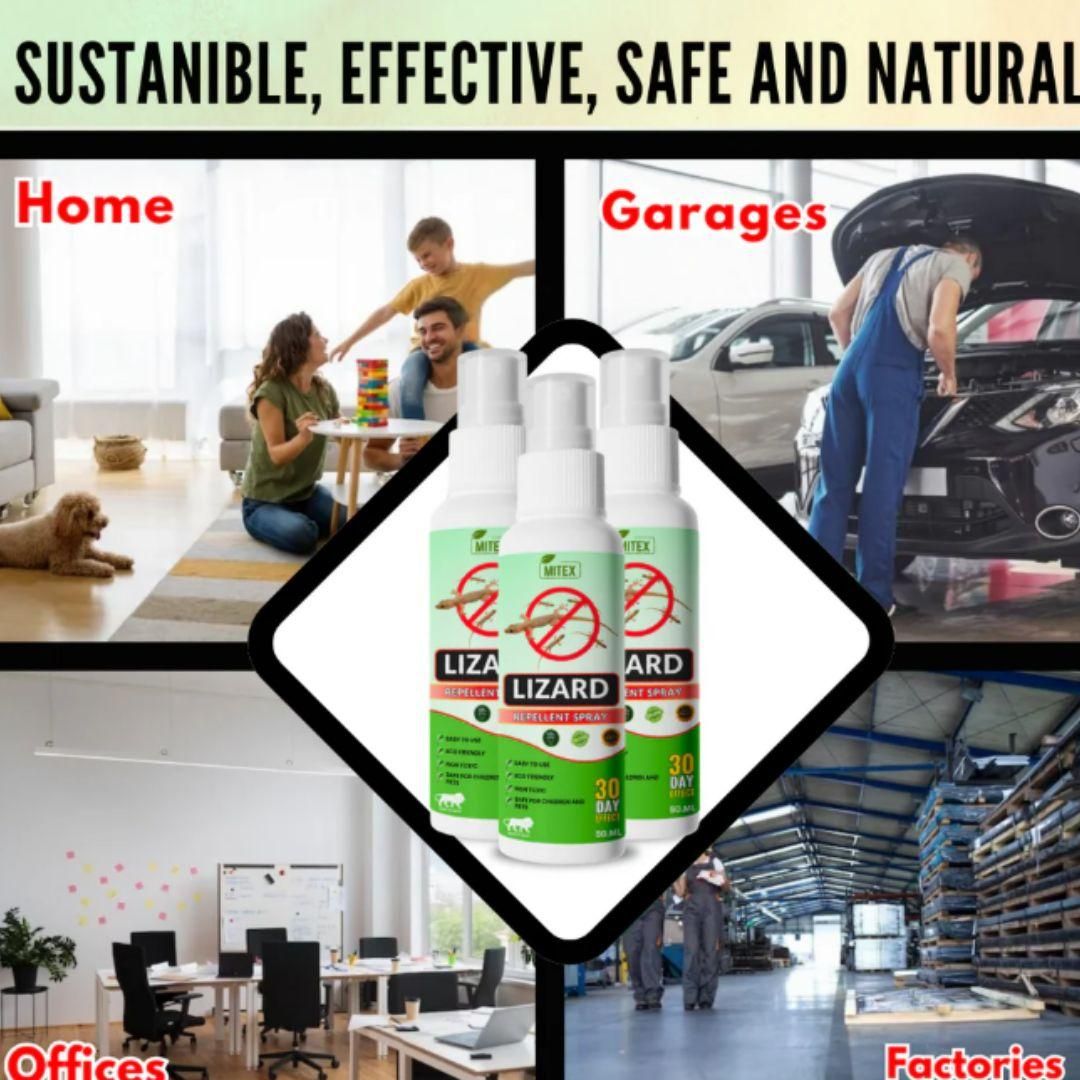 Lizard Repellent Spray 50ML (Pack of 3) – Natural, Non-Toxic Formula for Home & Kitchen