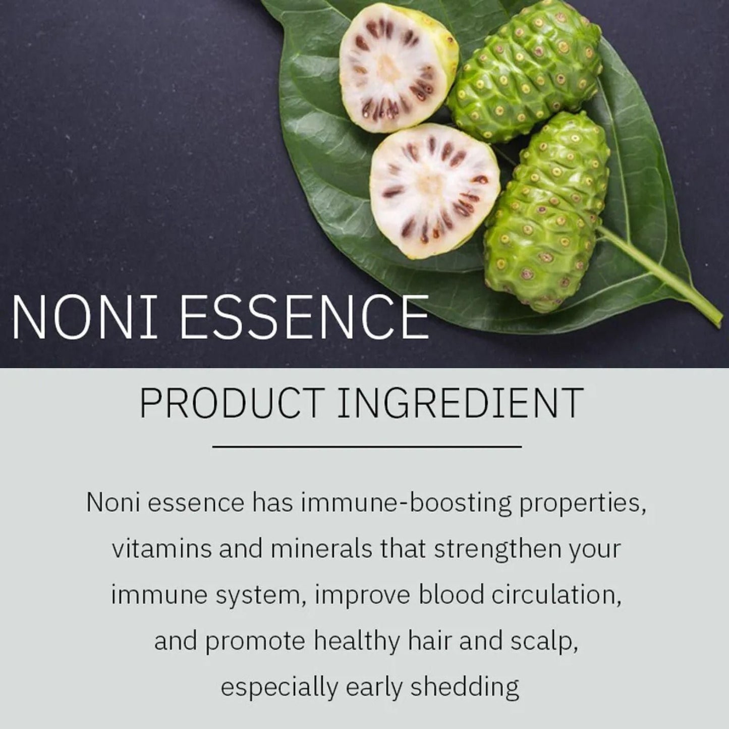 Noniplant Natural Black Hair Shampoo – Restores Hair Color & Strengthens with Noni, Aloe Vera & Argan Oil (Pack of 2, 300ml Each)