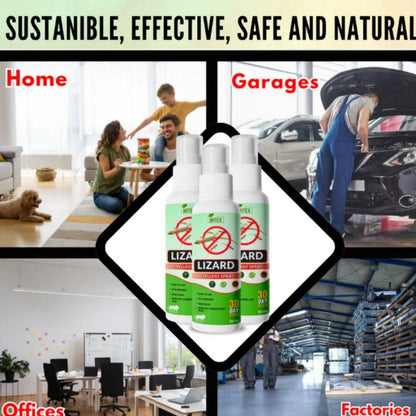 Lizard Repellent Spray 50ML (Pack of 3) – Natural, Non-Toxic Formula for Home & Kitchen
