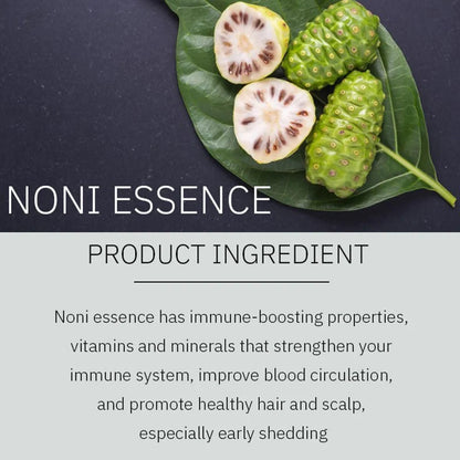 Noniplant Natural Black Hair Shampoo – Restores Hair Color & Strengthens with Noni, Aloe Vera & Argan Oil (Pack of 2, 300ml Each)