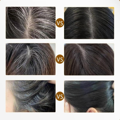2-in-1 Hair Touch-Up Comb – Quick White Hair Cover Stick, Waterproof & Sweat-Proof Hair Color (20gm)