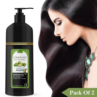 Noniplant Natural Black Hair Shampoo – Restores Hair Color & Strengthens with Noni, Aloe Vera & Argan Oil (Pack of 2, 300ml Each)