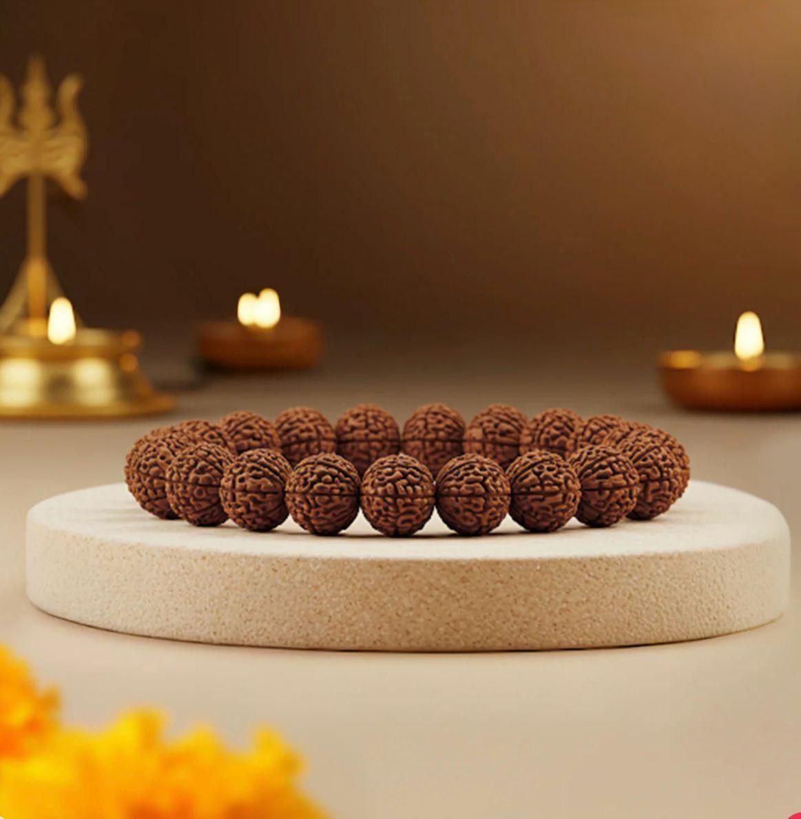 5 Mukhi Rudraksha Bracelet – Natural Brown Rudraksha, Free Size, Pack of 1